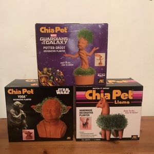 NEW Lot of 3 Chia Pets